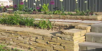 The construction of solar power plants is gaining momentum