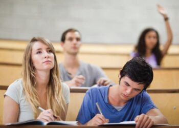 Сколько стоит написание кандидатской диссертации на заказ и как формируется цена