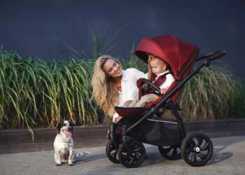 Прогулянкові коляски: які бувають і як вибрати оптимальну модель