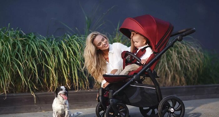Прогулянкові коляски: які бувають і як вибрати оптимальну модель