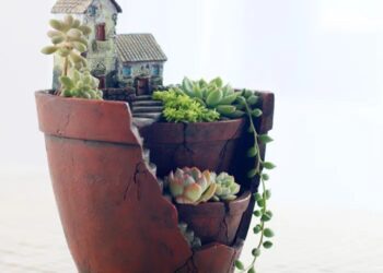 Естетика горщиків: як обрати стильний та функціональний дизайн