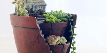 Естетика горщиків: як обрати стильний та функціональний дизайн