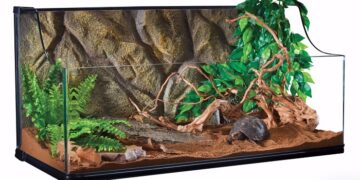 Как правильно ухаживать за террариумом