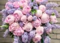 Букет з півонії від Marta Flowers – особливості і коли дарувати