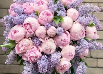 Букет з півонії від Marta Flowers – особливості і коли дарувати