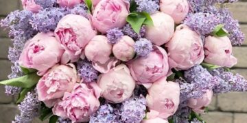 Букет з півонії від Marta Flowers – особливості і коли дарувати