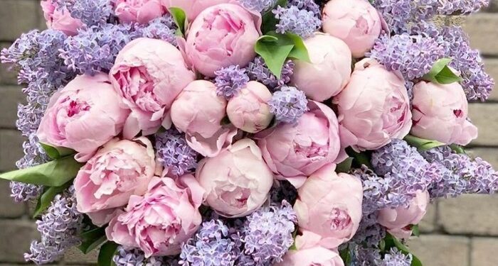 Букет з півонії від Marta Flowers – особливості і коли дарувати