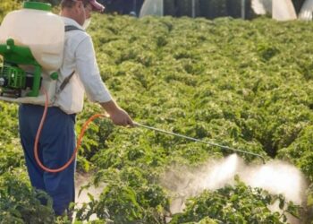 Спеціальні засоби захисту рослин: як вибрати і як правильно використовувати