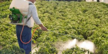 Спеціальні засоби захисту рослин: як вибрати і як правильно використовувати