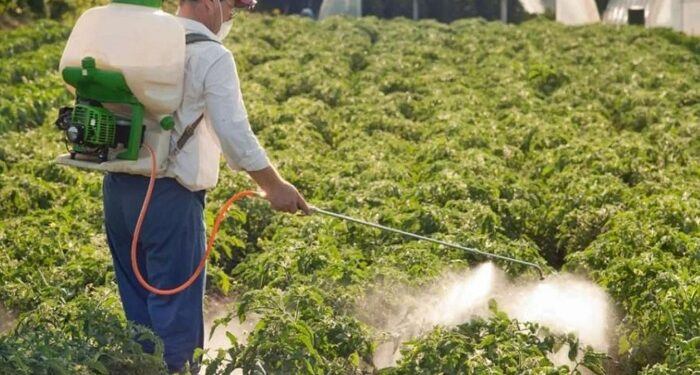 Спеціальні засоби захисту рослин: як вибрати і як правильно використовувати