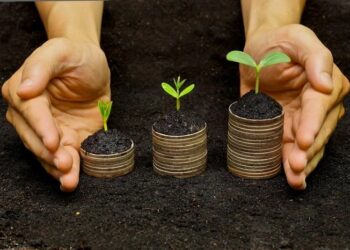 Грамотно інвестувати в землю: повний гід для підприємців