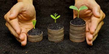 Грамотно інвестувати в землю: повний гід для підприємців