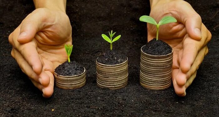 Грамотно інвестувати в землю: повний гід для підприємців