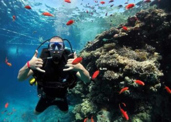 Unvergessliches tauchabenteuer in Marsa Alam