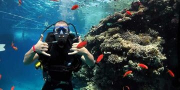 Unvergessliches tauchabenteuer in Marsa Alam