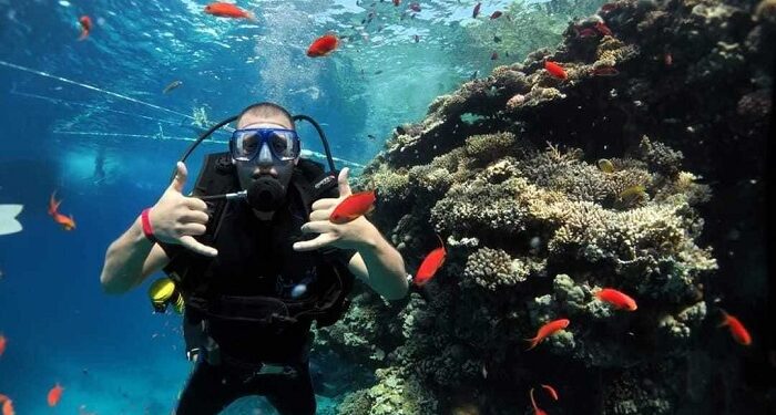 Unvergessliches tauchabenteuer in Marsa Alam