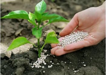 Полный набор питания для любых культур