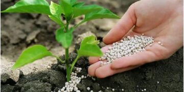 Полный набор питания для любых культур