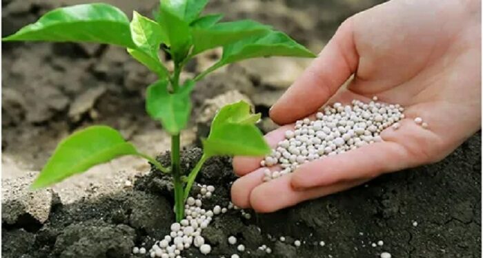 Полный набор питания для любых культур